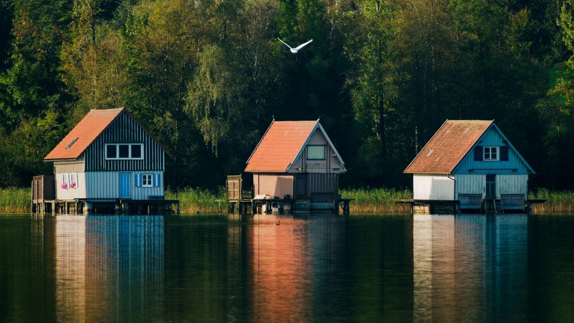 Gemuetliches Ferienhaus Mit Garten Kamin, Eine Separate Ferienwohnung, Neu Renoviert, Ideal Fuer Familien Und Gruppen Імменштадт-ім-Алльгой Екстер'єр фото
